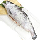 送料無料 銀鮭 一本物 約2.5kg 宮城産 24年新物 お歳暮 新巻 贈答 化粧箱入 塩引き 養殖 【ギンシャケ ギンサケ ぎん 】アメ横 沖縄+800円(4)