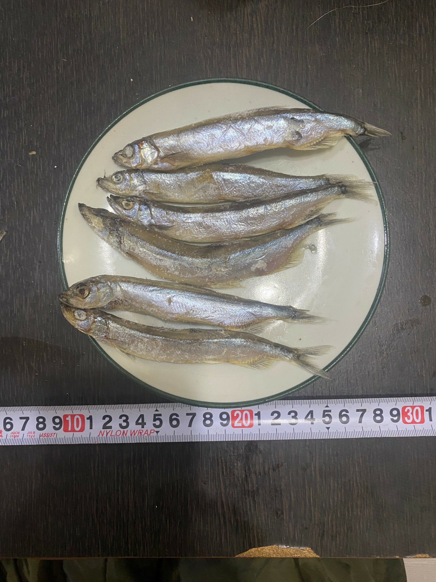 送料無料　からふとししゃも網干し　オス　5kg 10kg　約280-350匹　業務用　【ししやも　シシャモ　カラフト　樺太】沖縄+800円