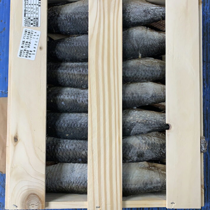 身欠きにしん　ソフト　半生　1kg　約11-15枚　昆布巻き　塩焼きにも　お正月　おせち　【ニシン　鰊】のサムネイル