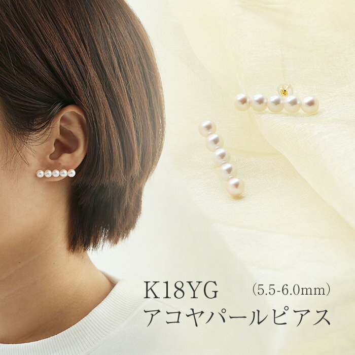 K18 AR p[ sAXi5.5-6.0mm) ^ 18 xr[p[ h}gp lC fB[X WG[ Mtg 蕨 5A 5 5 K18 CG[S[h  v[g k18 p[ ^ Lb`t Ԃ ̓