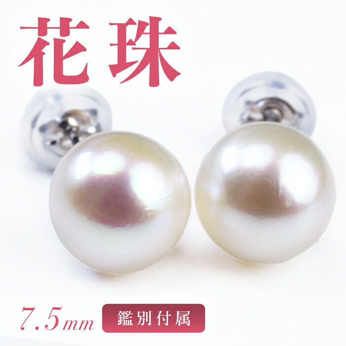 楽天市場】ピアス 真珠 花珠 7mmの通販 楽天市場】ピアス 真珠 花珠 7mmの通販