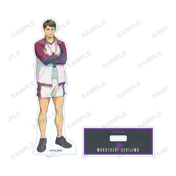 ハイキュー！！ TO THE TOP 牛島若利 Ani-Art 第5弾 BIGアクリルスタンド[アルマビアンカ]《在庫切れ》のサムネイル