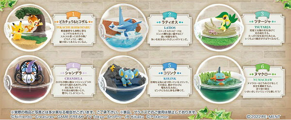 ポケットモンスター テラリウムコレクション12　6個入りBOX（再販）[リーメント]《発売済・在庫品》