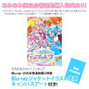 DVD ひろがるスカイ！プリキュア vol.4[マーベラス]《発売済・在庫品》