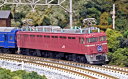 3066-D EF81 一般色 敦賀運転派出 KATO 《発売済 在庫品》