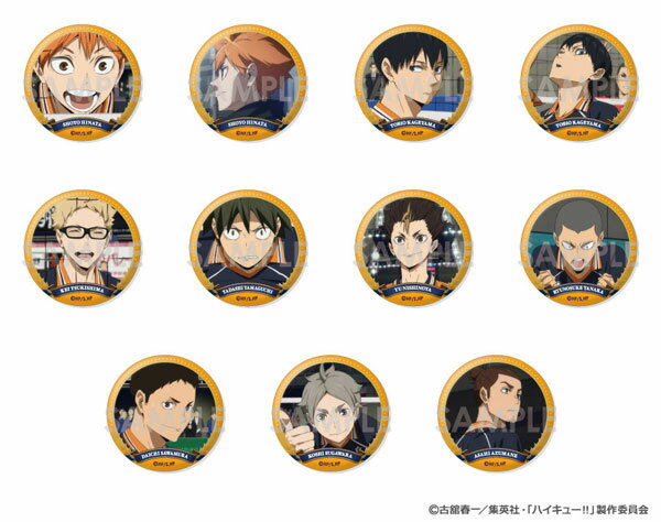 ハイキュー！！ トレーディング缶バッジ 〜烏野セレクションVol.2〜 11個入りBOX[ソル・インターナショナル]《発売済・在庫品》