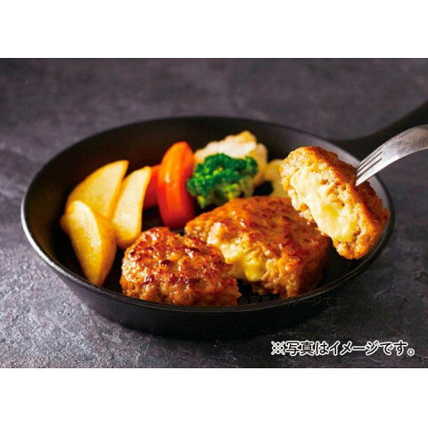 ニチレイ　チーズイングリルドハンバーグ(110)　1100g(10個入)＜終売予定＞ amicashop-10011480 業務用食品アミカ楽天市場店 サンプル画像2