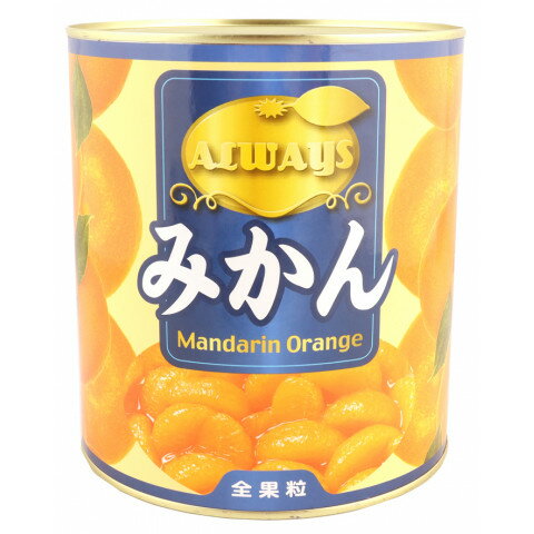 天野食品 中国みかん 3000g