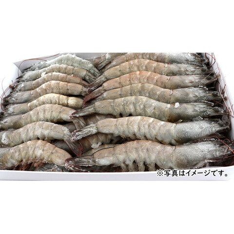 ニチレイ　ぷるるん生えび(バナメイ有頭)　1kg(40尾) amicashop-10013592 業務用食品アミカ楽天市場店 サンプル画像3