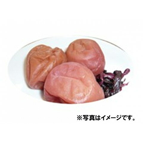 丹羽久　業務用蒙古の塩 天日湖塩(赤)　1kg amicashop-10007329 業務用食品アミカ楽天市場店 サンプル画像3