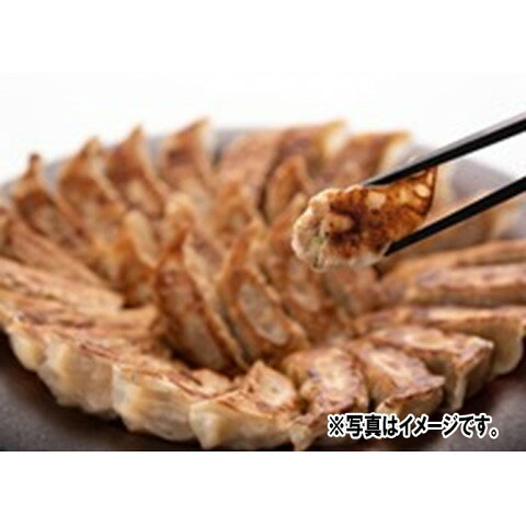 桶狭間フーズ　一刻魁堂の冷凍生ギョーザ　600g(30個) amicashop-10010060 業務用食品アミカ楽天市場店 サンプル画像2