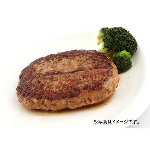 ジョイグルメ　ハンバーグヴィアンドN160　160g amicashop-10011149 業務用食品アミカ楽天市場店 サンプル画像2