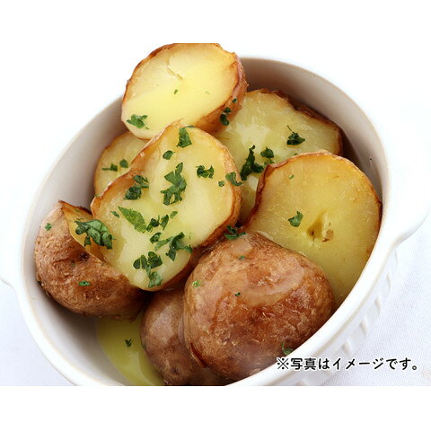 ケンコー　バターソース　505g amicashop-10008828 業務用食品アミカ楽天市場店 サンプル画像3