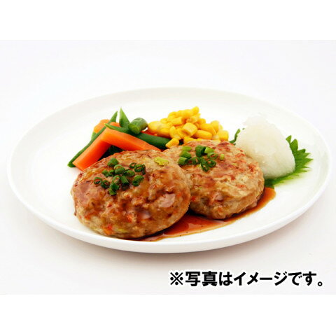 ジェフダ　野菜豆腐ハンバーグ(80)　80g×25 amicashop-10006083 業務用食品アミカ楽天市場店 サンプル画像3