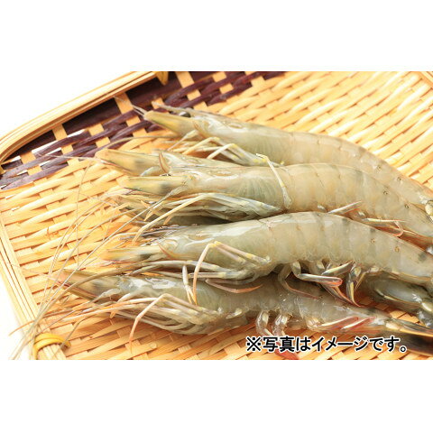ニチレイ　マダガスカル BT有頭えび30/35　1kg amicashop-10006518 業務用食品アミカ楽天市場店 サンプル画像3