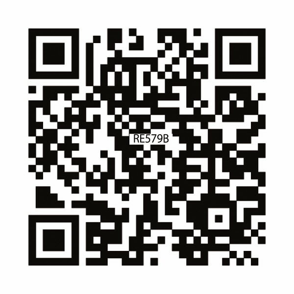 セイコー メロディ電波からくり掛時計(39曲入) 【10-112】▼ 次のイベント迄迄【ポイント2】 結婚内祝い 結婚祝い 出産内祝い お返し 新築内祝い 快気祝い 引き出物 見舞い ギフト [3]