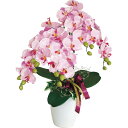 【LINE友達で100円OFF】コチョウラン 5本立て(造花・光触媒加工) 【10-125】▼ 楽天スーパーセール03月04日20時00分〜11日 01時59分...