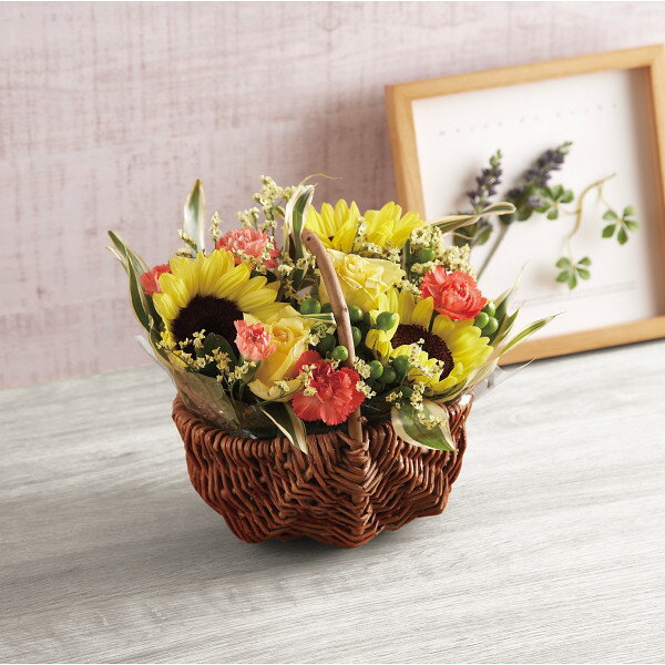 【LINE友達で100円OFF】四季の花アレンジ 夏【10-80】▼ 楽天スーパーセール03月04日20時00分〜11日 01時59分迄【ポイント2倍】5のつく...