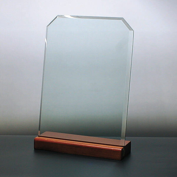 勤続・設立 周年記念品■DSP-3C (小)/▼卒業記念品・卒園・上場記念 株式公開記念 創業記念 法人ギフト 還暦祝い 退職祝い 新築 退職 御見舞後払い 異動 転職 挨拶 プレゼント 名入れ可