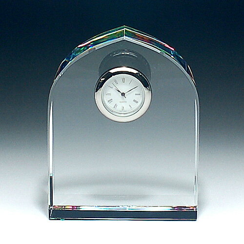 勤続・設立 周年記念品■DT-9/▼卒業記念品・卒園・上場記念 株式公開記念 創業記念 法人ギフト 還暦祝い..