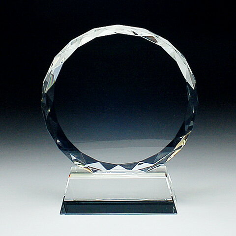 勤続・設立 周年記念品■DP-3C/▼受賞式 名入れオーナメント 感謝状 記念牌 礼物 贈物 trophy とろふぃー..