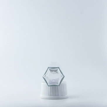 ハーバリウム ガラス 瓶 ボトル 六角200ml キャップ銀