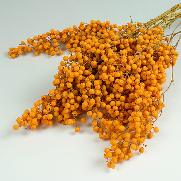ペッパーベリー プリザーブド オレンジ ドライフラワー フラワーアレンジメント 花材 花資材