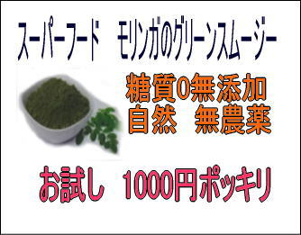 モリンガのグリーンスムージー　糖質0　無農薬　生姜　ステビア配合　80g　青汁