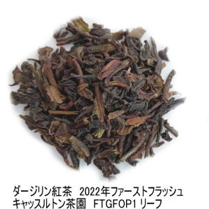 【1000円　送料無料】【50g】キャッスルトン茶園2022年ファーストフラツシュ(FTGFOP1)ダージリン紅茶　 DJ151 ダージリンティ　紅茶　茶葉