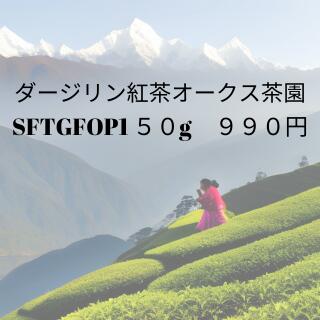 ダージリン【50g】オークス茶園2022