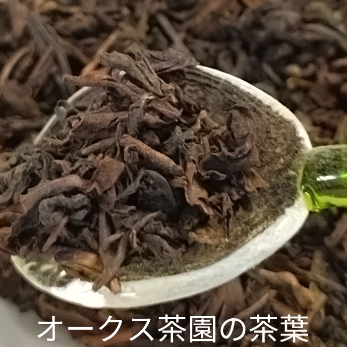 楽天アミーゴス-パシュミナと紅茶-ダージリン【50g】オークス茶園2022年セカンドフラッシュ（SFTGFOP1　リーフ）ダージリン紅茶　無農薬　オーガニック　 紅茶　茶葉