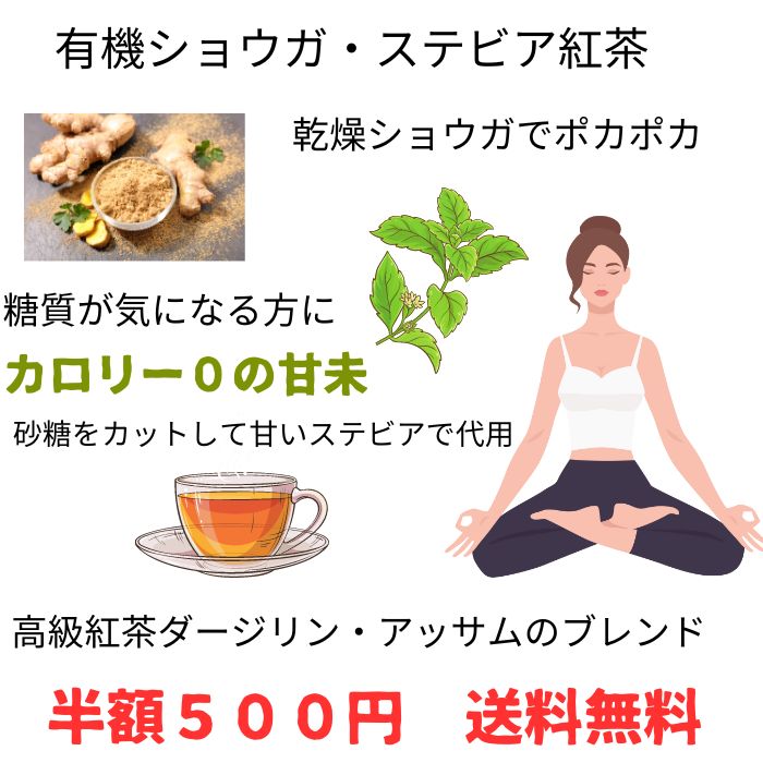 【半額】ステビアしょうが紅茶　50g　糖質0の甘未　無精製ステビア配合　茶葉は最高級クラス　ポスト便　ダイエットのストレス解消 　人工合成していない自然の甘味配合