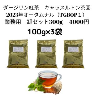 【業務用　卸　300g】新芽入りキャッスルトン茶園2023年オータムナル(TGBOP1)ダージリン紅茶　ダージリンティー　送料無料 紅茶　茶葉