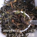 ダージリン紅茶 キャッスルトン茶園 2024年 ファーストフラッシュ (FTGFOP1)ダージリン紅茶 ダージリンティー 送料無料 紅茶 茶葉 DJ167 50g