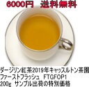 【200g】半額 2019年ファーストフラッシュ(FTGFOP1リーフ)ダージリン紅茶 キャッスルトン茶園 DJ-116special chaina サンプル出荷