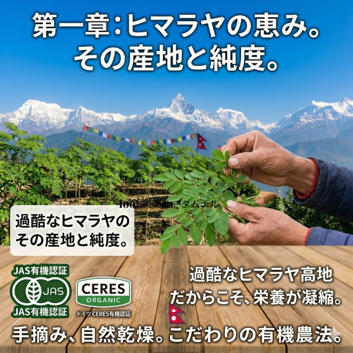 100%　有機モリンガ　パウダー　粉末100g　オーガニック　ネパール産 amigos-10002567 アミーゴス-パシュミナと紅茶- サンプル画像3