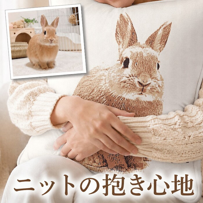 Rakuten - 【商品番号40】 ペット メモリアルクッション オーダーメイド 犬 猫 うちの子 ペットロス 思い出 クッション 抱きしめる ぬくもり 高級感 写真から作る 愛犬 愛猫 虹の橋 命日 プレゼント 癒し 温もり ペット供養 メモリアルグッズ