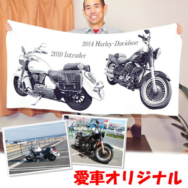ナンバープレートカバー みんな探してる人気モノ ナンバープレートカバー 車 バイク ナンバープレートカバー みんな探してる人気モノ ナンバープレートカバー 車 バイク