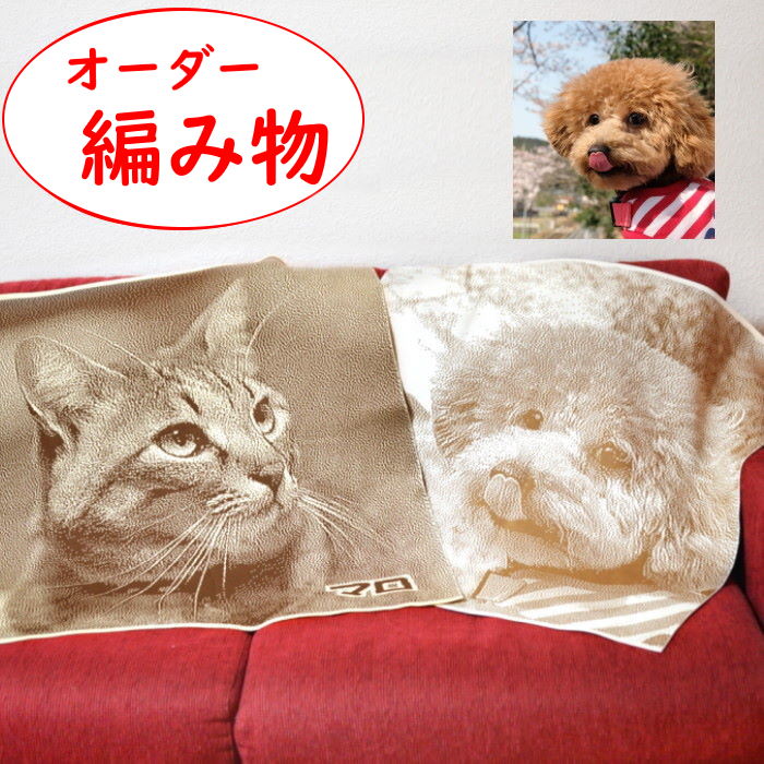˥åȥ֥󥱥å  ǭ ڥå ꥸʥ륰å ̿ ꥢ륰å ڥåʩ ڥåȶ ץ쥼 ǰ ꥢ ...