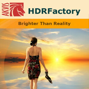 【ポイント10倍】【35分でお届け】AKVIS HDRFactory Home スタンドアロン v.7.6【shareEDGEプロジェクト】【ダウンロード版】