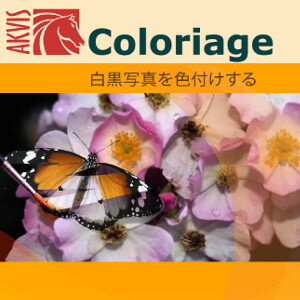 【ポイント10倍】【35分でお届け】AKVIS Coloriage for Mac Home プラグイン v.14.0【shareEDGEプロジェクト】【ダウンロード版】