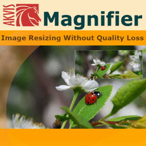 AKVIS Magnifier AIは効率的に画像解像度を上げることができます。 品質を損なうことなく画像のリサイズを可能にします。 【 ダウンロードファイルサイズ：294,798 KB 】