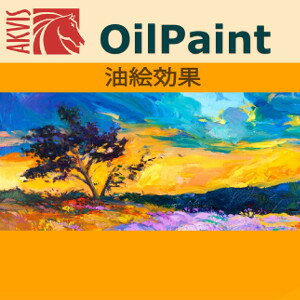 AKVIS OilPaint は、写真を油絵の様に変換するソフトウェアです。 ブラシストロークの芸術的な適用を行うユニークなアルゴリズムにより、本当に油絵をブラシで描いたように変換されるという特長があります。 油絵の具を使って油絵を完成させるには、長くて複雑なプロセスが必要になりますが、このAKVIS OilPaintを使えば、画家になったつもりで、ほんの数分で写真を油絵の様に変身させることができます。 プロの画家でないとしても、 AKVIS OilPaint を使うだけで自分だけの名作/傑作を作り出すことができます。 プログラムが、手書きの油絵のような画像を作ってくれるので、油絵を作り出す神秘的で不思議な過程を、目の前で見ることができます。 バッチ処理機能を使用すると、同じ設定で一連の(複数の)画像を自動的に変換することができます。 芸術作品に、自分のサインやメッセージを加えて、オリジナルのものにできます。 油絵をさらに本物の絵に近づけるためにキャンバスを変更することもできます。 プログラムには多くの「プリセット」が用意されており、ソフトウェアの機能を把握するのにも役立つでしょう。 【 ダウンロードファイルサイズ：224,506 KB 】