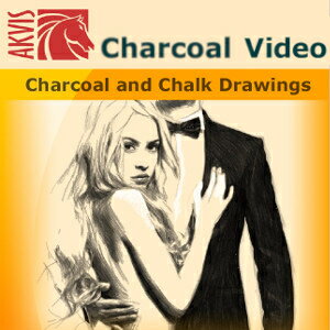 【ポイント10倍】【35分でお届け】AKVIS Charcoal Video Home プラグイン v.1.0【shareEDGEプロジェクト】【ダウンロード版】