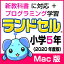 【ポイント10倍】【35分でお届け】【Mac版】ランドセル小学5年 新学習指導要領＜第10版＞ 【がくげい】【Gakugei】【ダウンロード版】