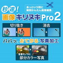 【ポイント10倍】【35分でお届け】秒速！画像キリヌキPro 2【メディアナビ】【Media Navi】【ダウンロード版】