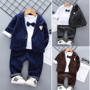 フォーマルスーツ 男の子 スーツ キッズ 子供 3点セット上下セット タキシード ストライプ 七五三 記念日 撮影 ベビー服 結婚式 発表会 男の子スーツ 子供...