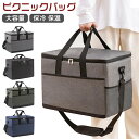 ピクニックバッグ ピクニック ランチバッグ 大きい お花見 保冷 保温バッグ キャンプ クーラーバッグ エコバッグ 花火会 携帯用 弁当袋