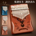 カリンバ サムピアノ 親指ピアノ 初心者セット 子供 楽器 天然木製 17音 マホガニー おしゃれ 使いやすい 親指オルアクセサリ&楽譜集付きゴール