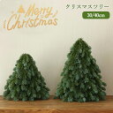 クリスマスツリー 卓上 30cm 40cm ミニクリスマスツリー ヌードツリー 雰囲気満々 おしゃれ 北欧 ナチュラル クリスマス飾り DIY 卓上ツリー 本物...